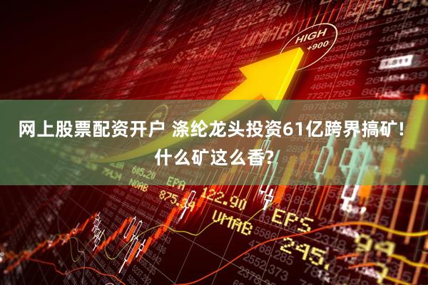 网上股票配资开户 涤纶龙头投资61亿跨界搞矿! 什么矿这么香?
